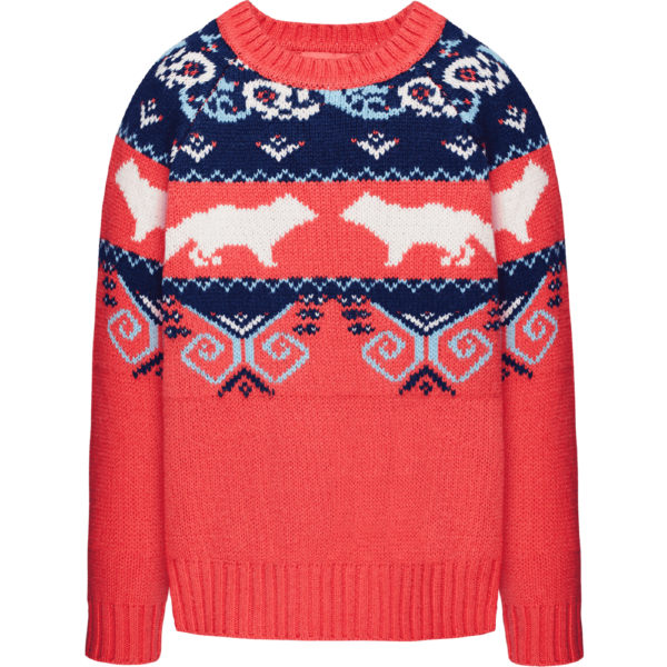 Sweater Colorful